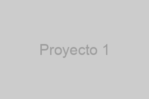 Proyecto de Branding 1