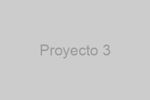 Proyecto de Branding 3